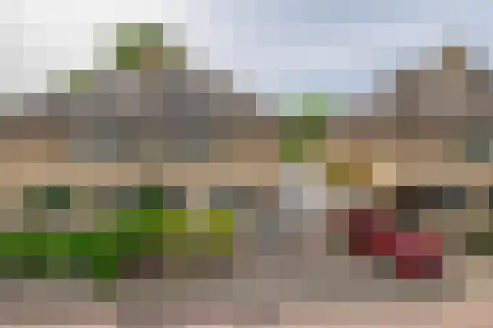Couperinstraat 14 Capelle aan den IJssel thumbnail 48