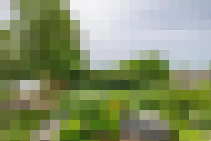 Couperinstraat 14 Capelle aan den IJssel thumbnail 53
