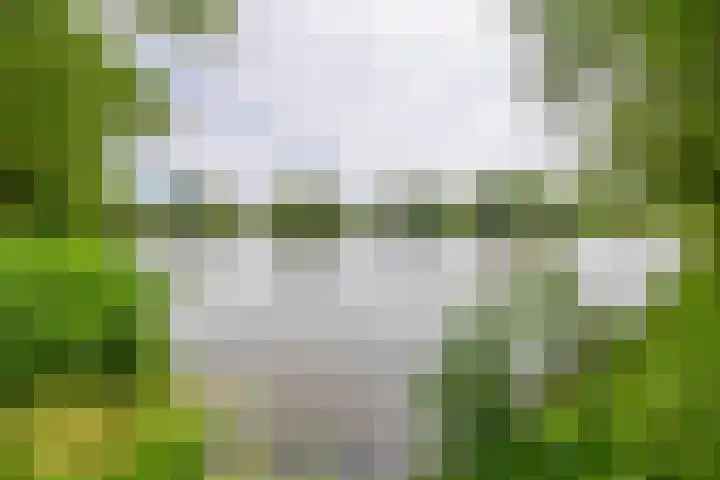 Couperinstraat 14 Capelle aan den IJssel thumbnail 54