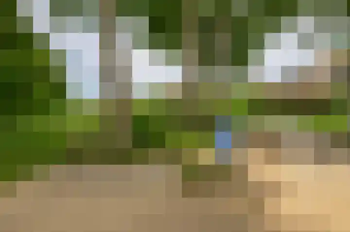 Couperinstraat 14 Capelle aan den IJssel thumbnail 55