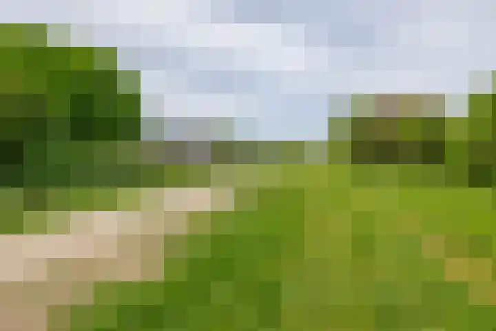 Couperinstraat 14 Capelle aan den IJssel thumbnail 56