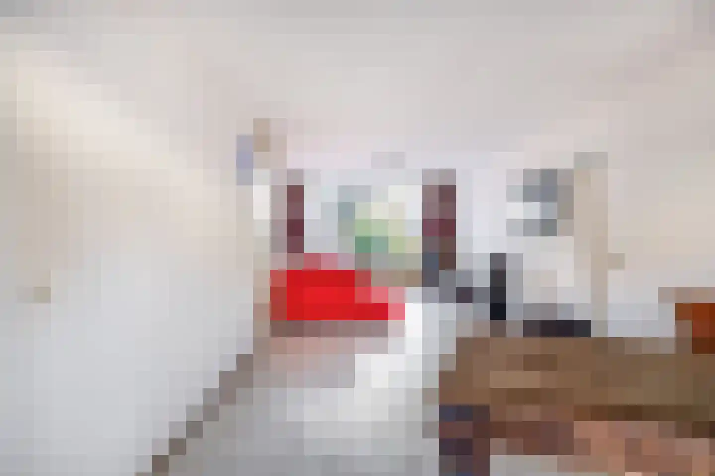 Couperinstraat 19 Capelle aan den IJssel thumbnail 12