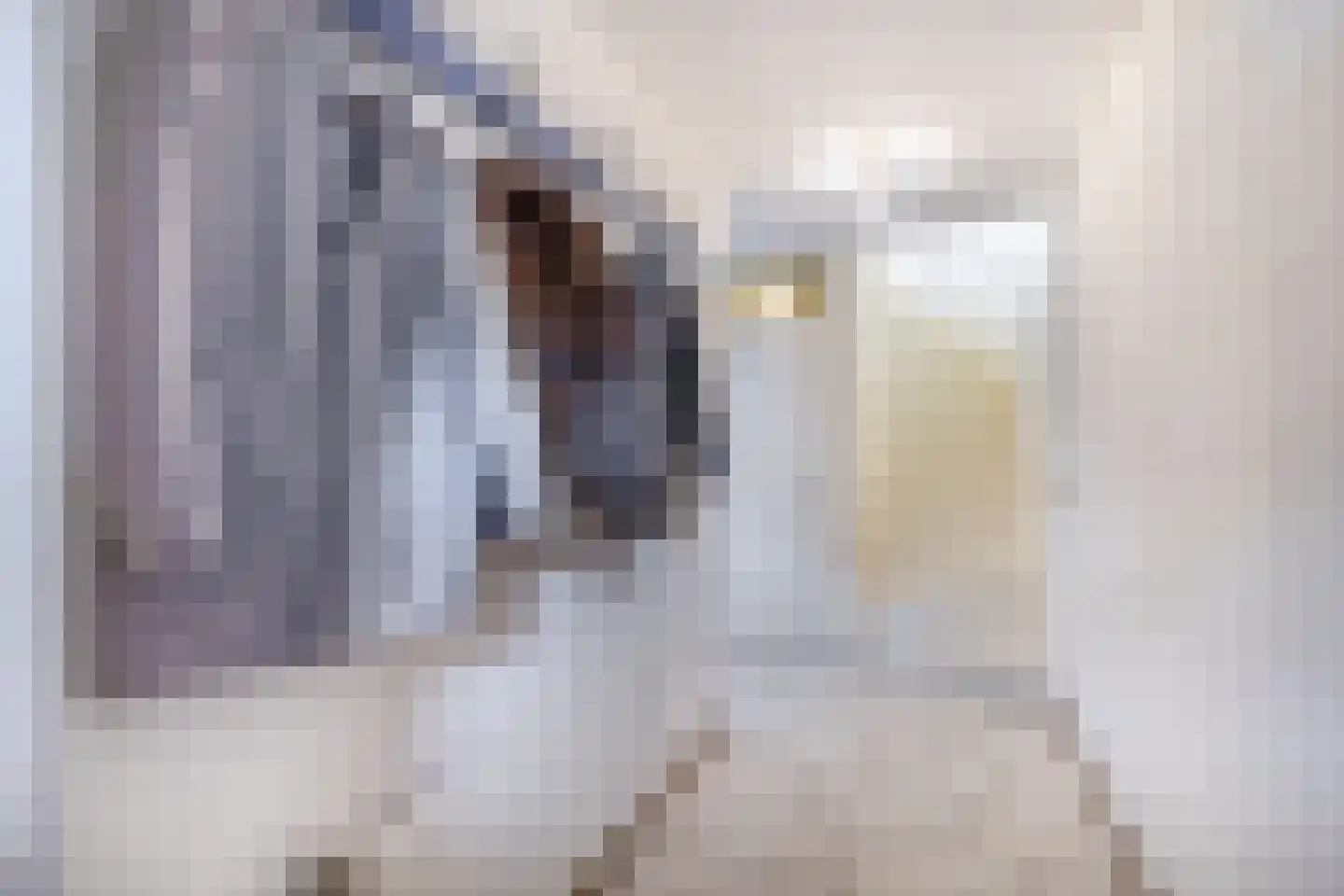 Couperinstraat 19 Capelle aan den IJssel thumbnail 6