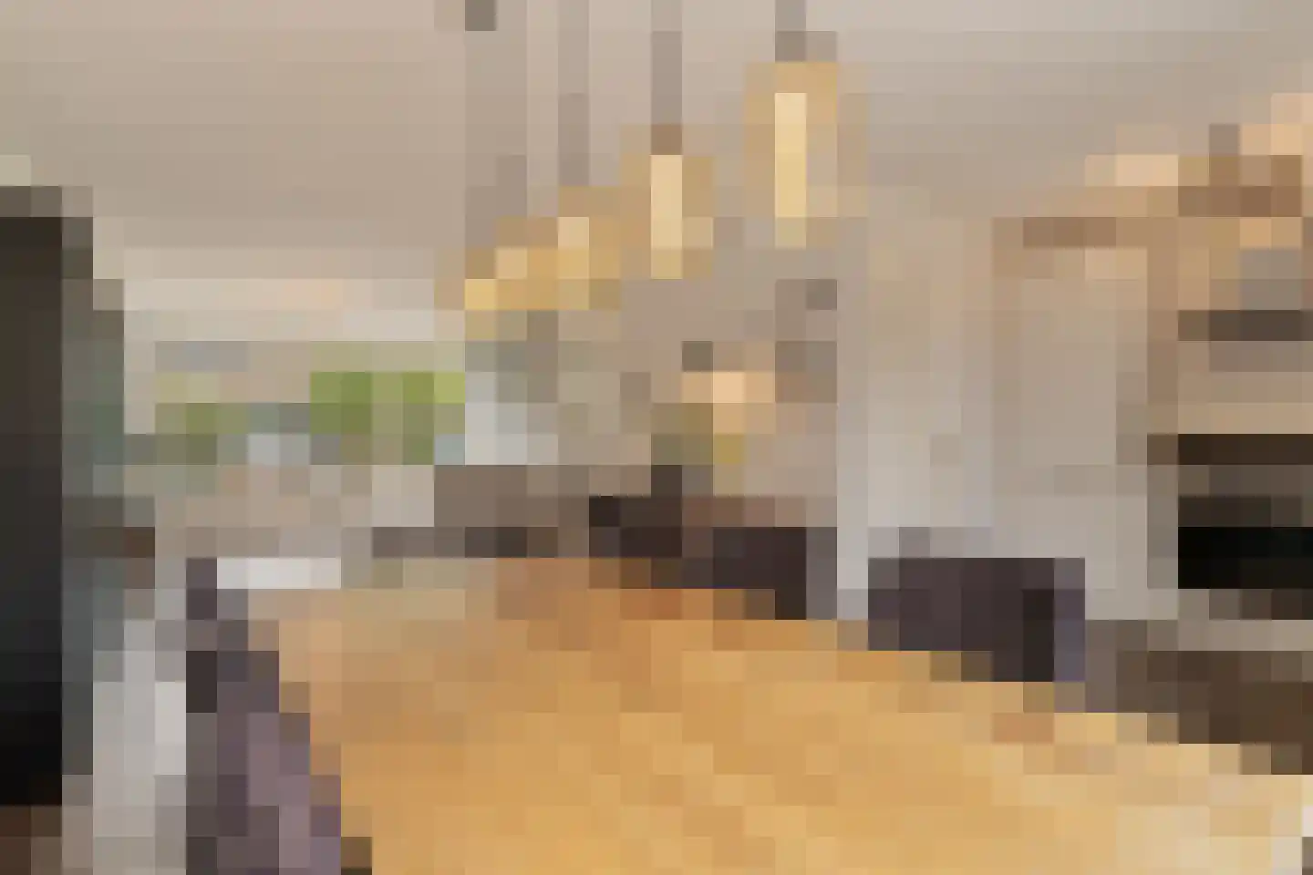Couperinstraat 37 Capelle aan den IJssel thumbnail 10