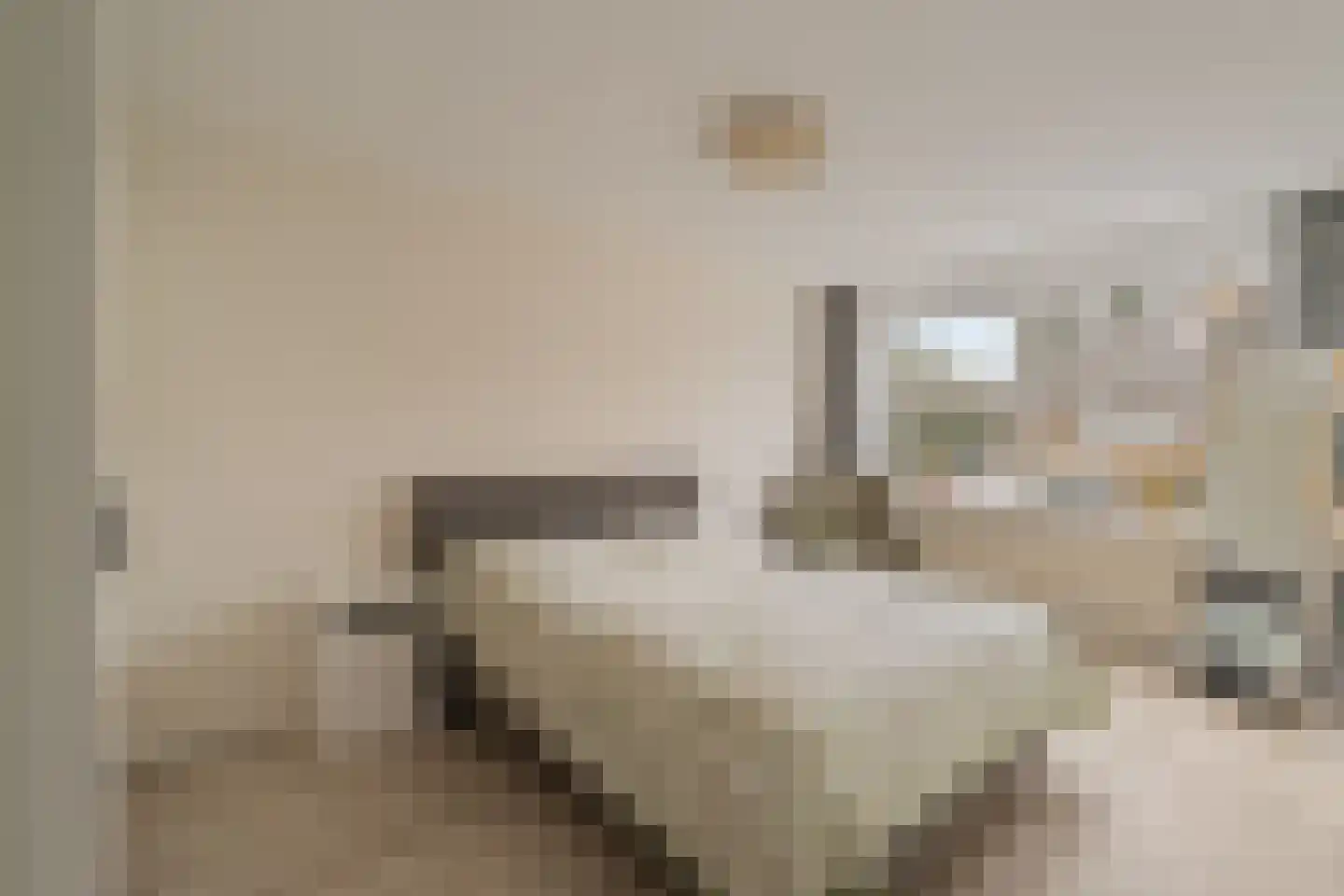 Couperinstraat 37 Capelle aan den IJssel thumbnail 13