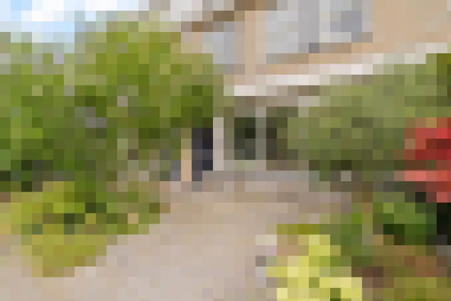 Couperinstraat 37 Capelle aan den IJssel thumbnail 32