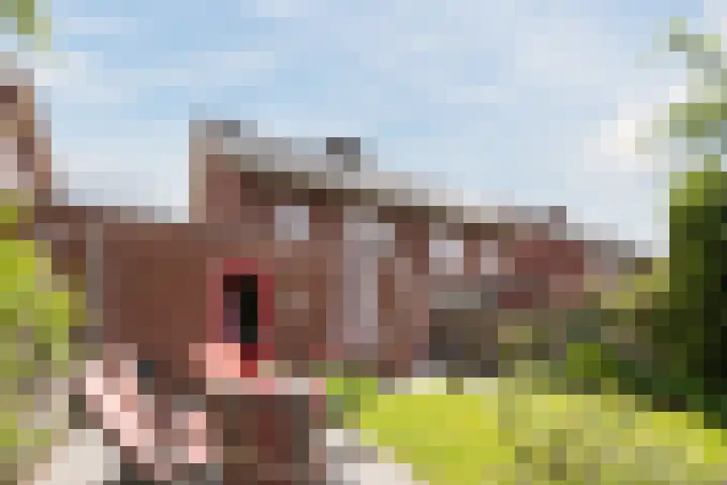 Couperuslaan 1 D Harderwijk thumbnail 48