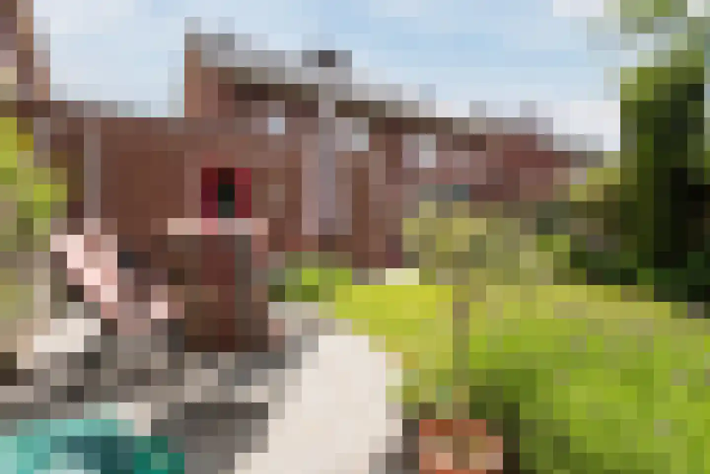 Couperuslaan 1 D Harderwijk thumbnail 52