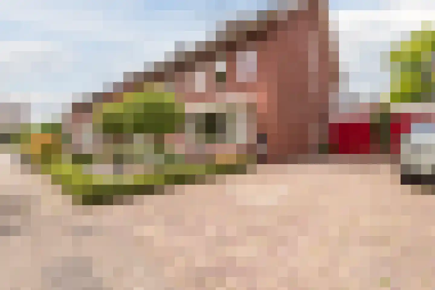 Couperuslaan 1 D Harderwijk thumbnail 58
