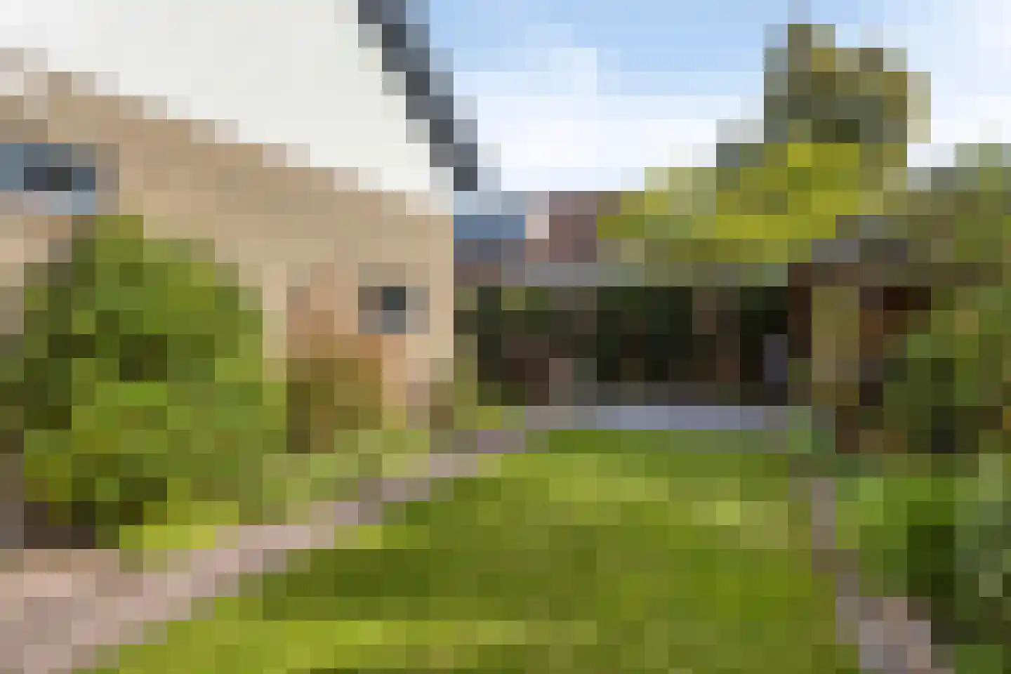 Couperuslaan 10 Roosendaal thumbnail 32
