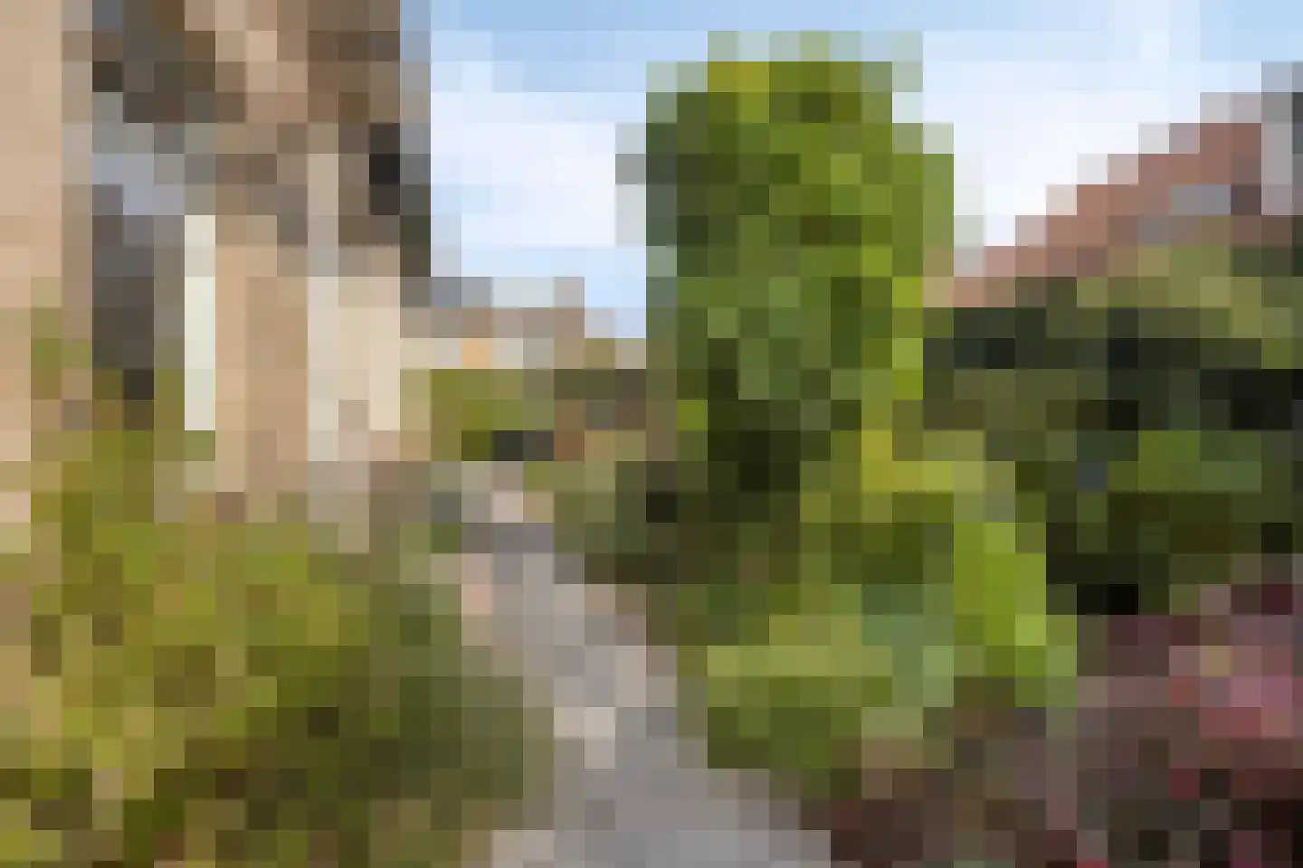 Couperuslaan 10 Roosendaal thumbnail 36