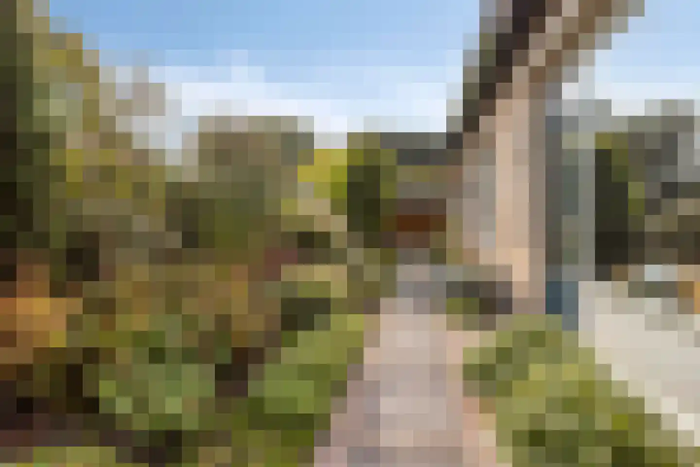 Couperuslaan 10 Roosendaal thumbnail 37