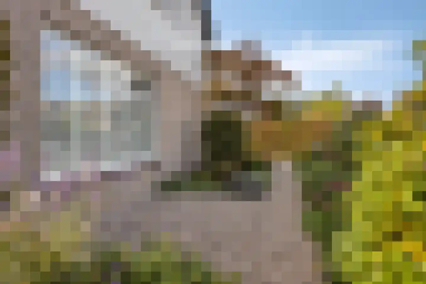 Couperuslaan 10 Roosendaal thumbnail 38