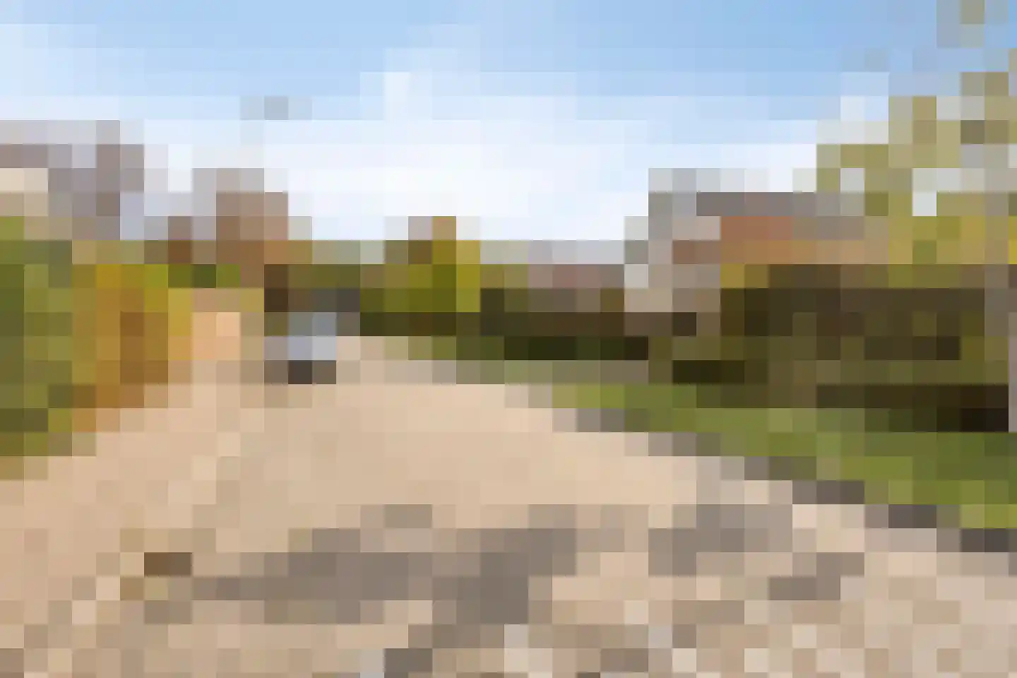 Couperuslaan 10 Roosendaal thumbnail 7