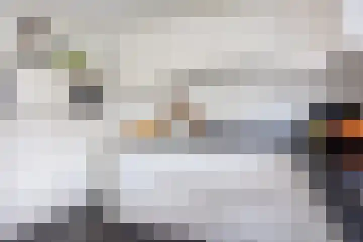 Couperuslaan 153 Harderwijk thumbnail 12