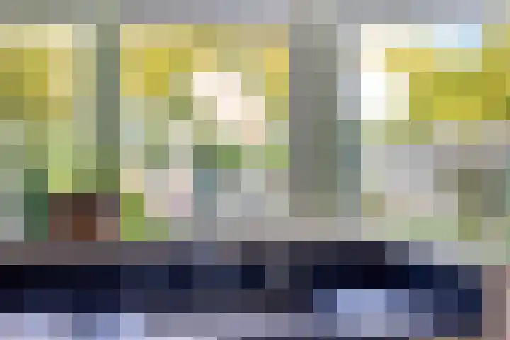 Couperuslaan 153 Harderwijk thumbnail 14