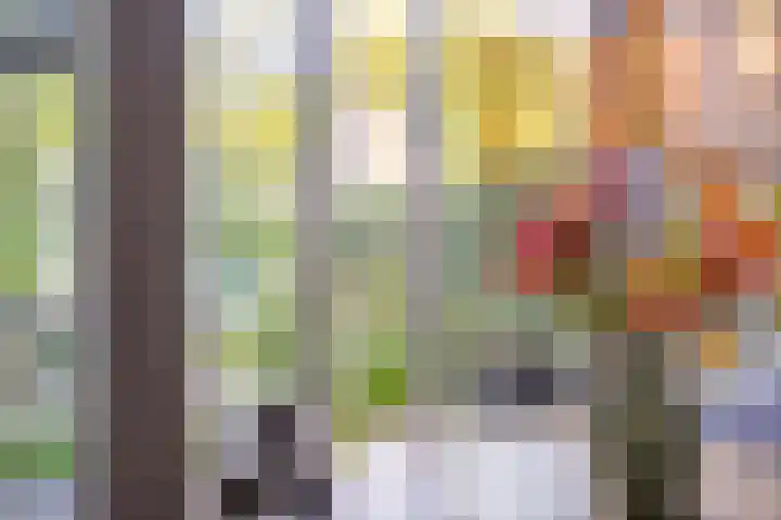 Couperuslaan 153 Harderwijk thumbnail 15