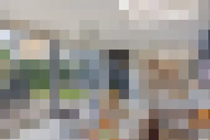 Couperuslaan 153 Harderwijk thumbnail 18