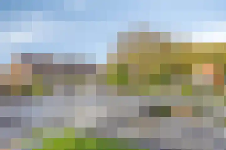 Couperuslaan 153 Harderwijk thumbnail 22