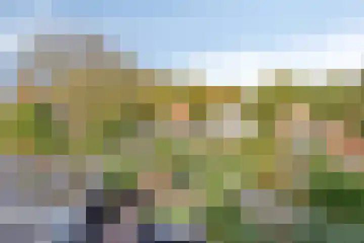 Couperuslaan 153 Harderwijk thumbnail 23