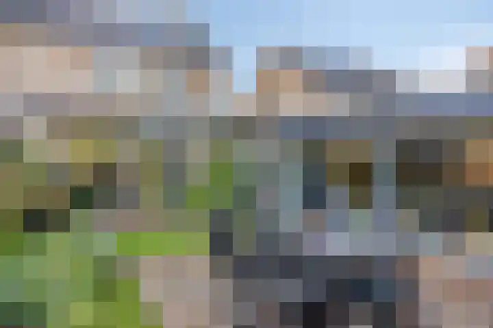 Couperuslaan 153 Harderwijk thumbnail 33