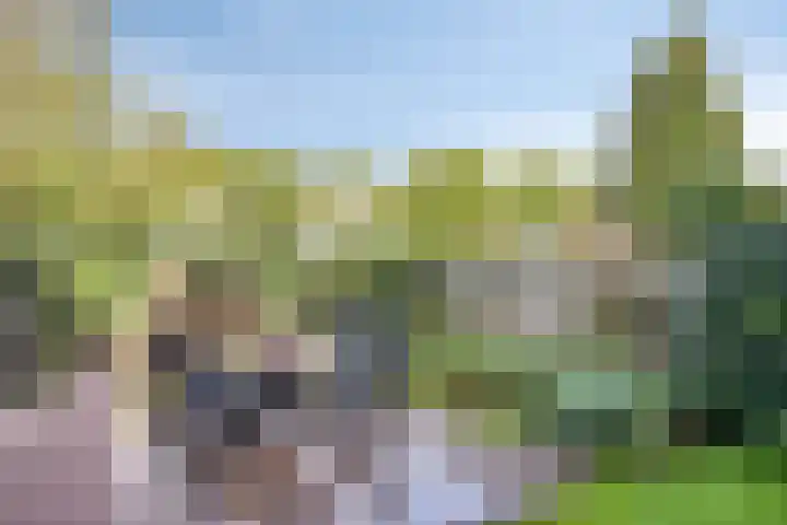 Couperuslaan 153 Harderwijk thumbnail 34