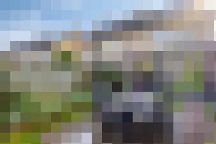 Couperuslaan 153 Harderwijk thumbnail 35
