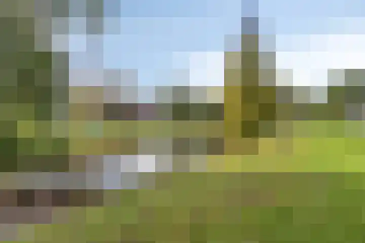 Couperuslaan 153 Harderwijk thumbnail 37