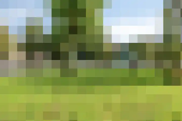 Couperuslaan 153 Harderwijk thumbnail 38