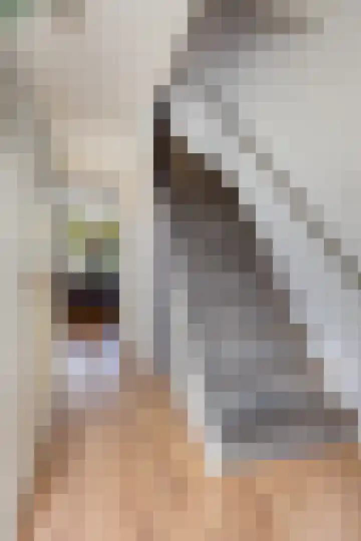 Couperuslaan 153 Harderwijk thumbnail 4