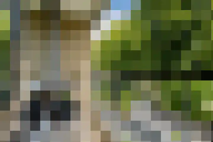 Couperuslaan 17 Harderwijk thumbnail 24