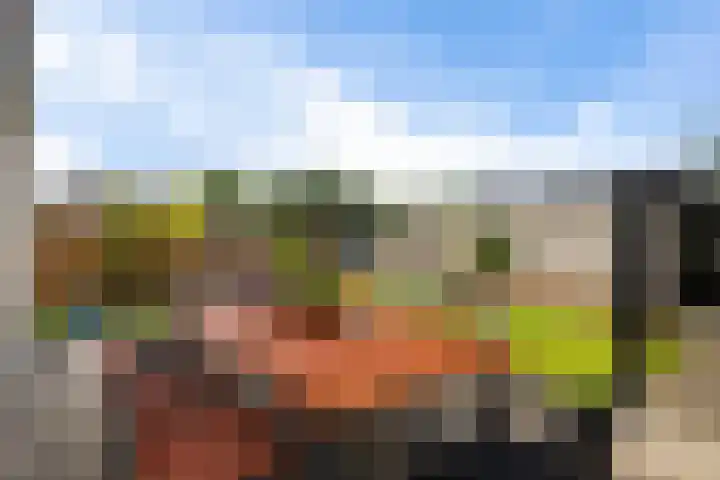 Couperuslaan 17 Harderwijk thumbnail 38