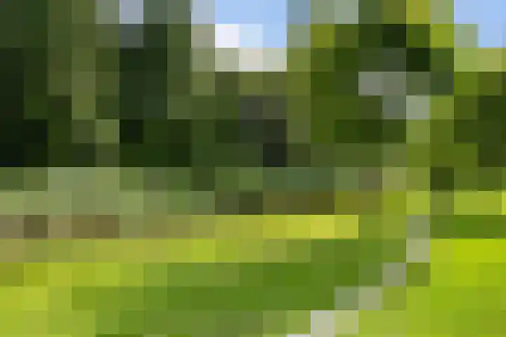 Couperuslaan 17 Harderwijk thumbnail 39