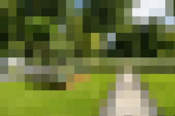Couperuslaan 17 Harderwijk thumbnail 4
