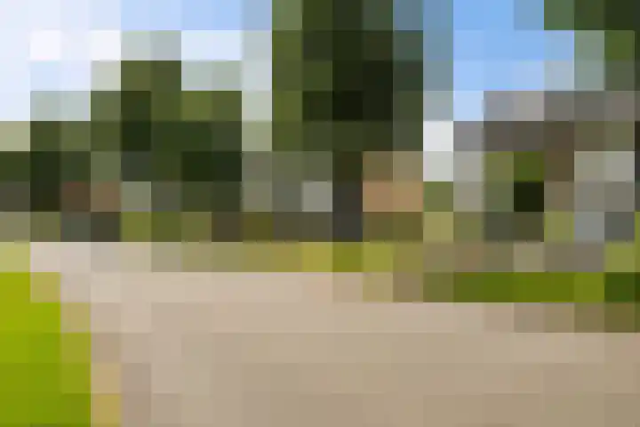 Couperuslaan 17 Harderwijk thumbnail 40