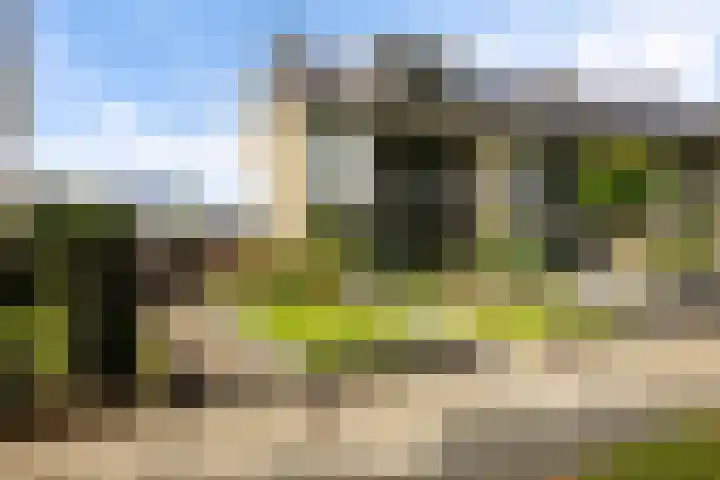 Couperuslaan 17 Harderwijk thumbnail 47