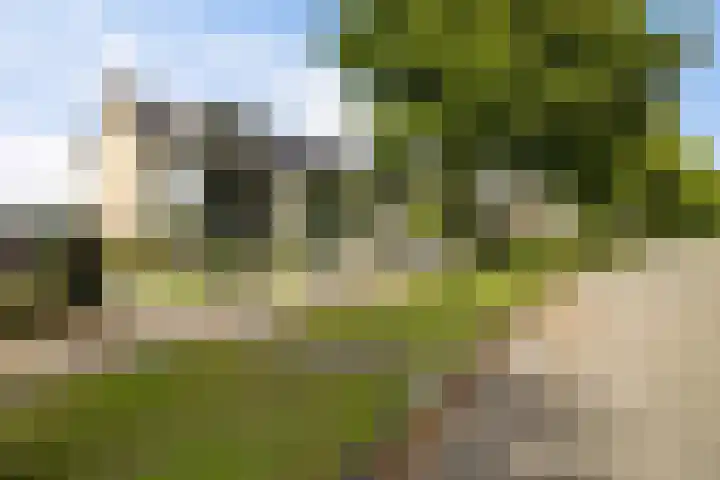 Couperuslaan 17 Harderwijk thumbnail 6