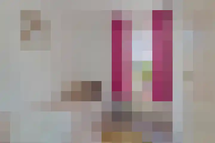 Couperuslaan 3 Roosendaal thumbnail 19
