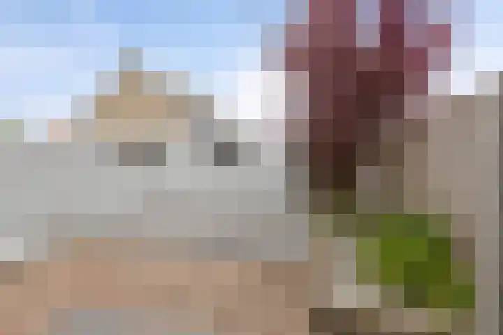 Couperuslaan 3 Roosendaal thumbnail 25