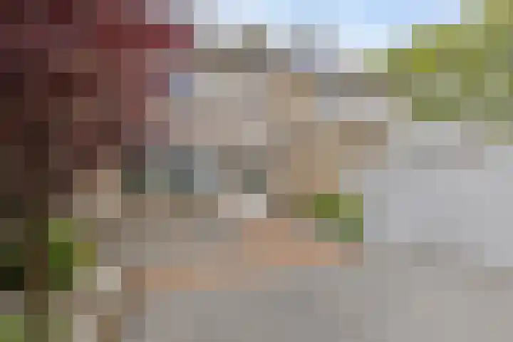 Couperuslaan 3 Roosendaal thumbnail 4