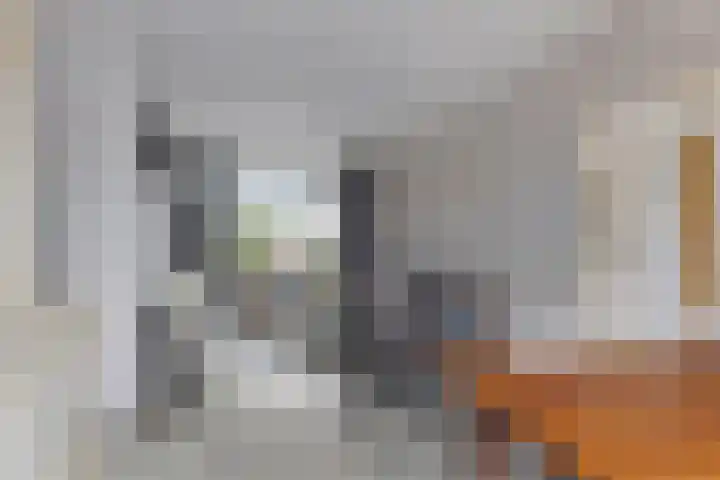Couperuslaan 3 Roosendaal thumbnail 9