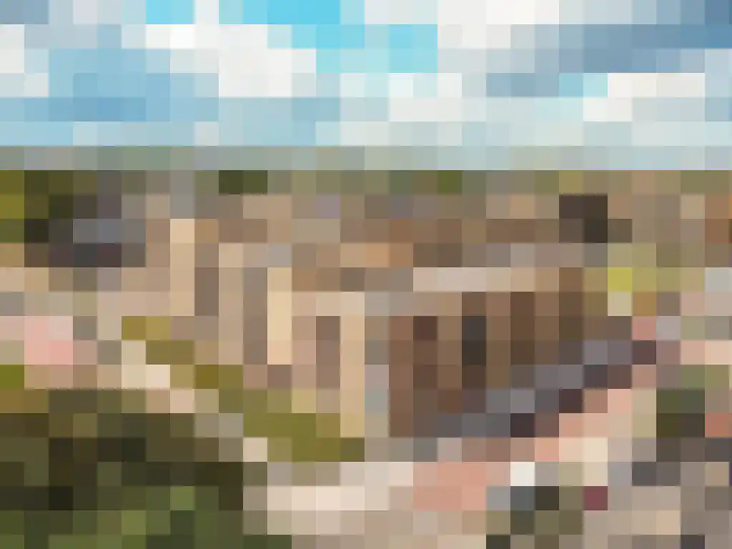 Couperuslaan 33 17 Harderwijk thumbnail 44