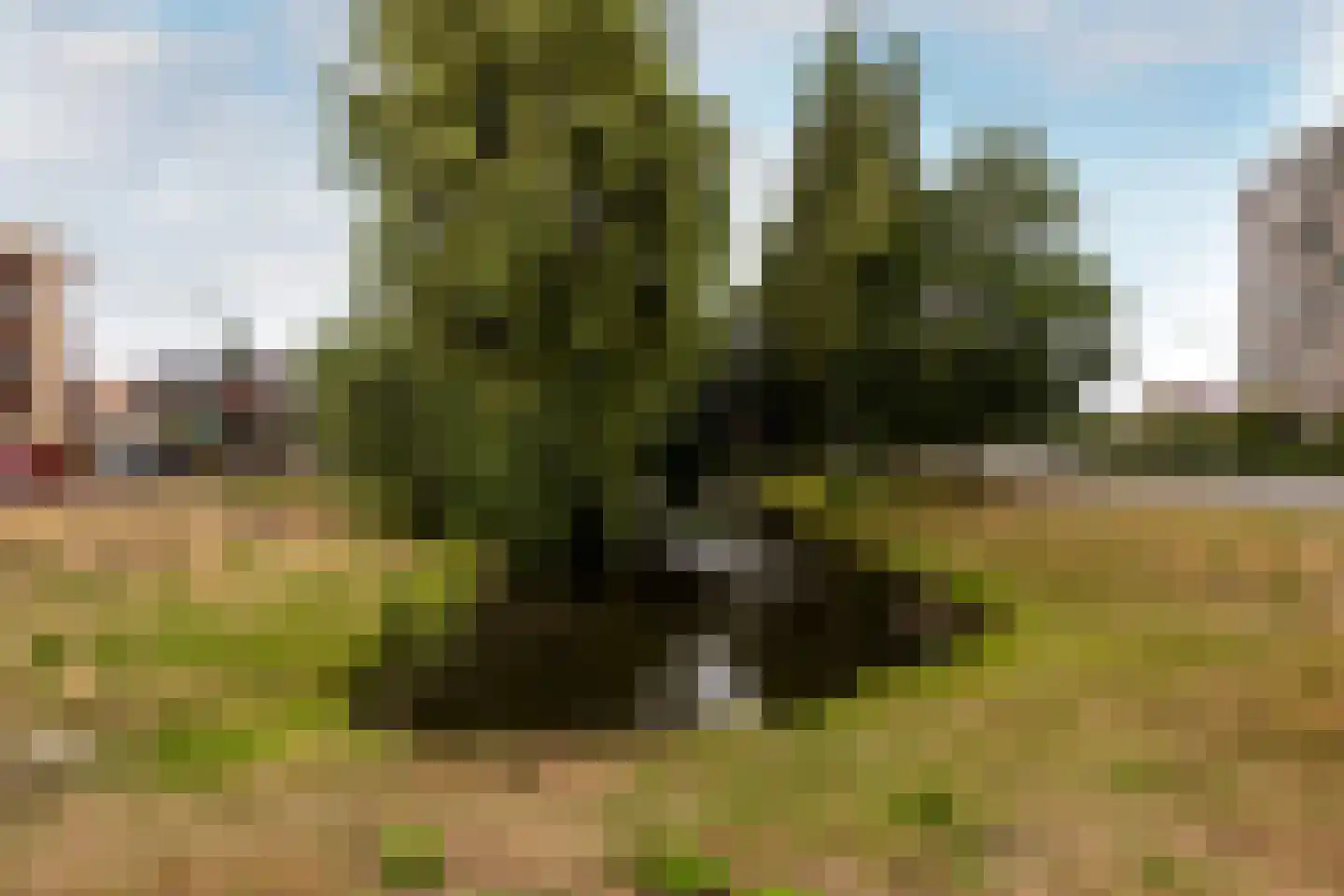 Couperuslaan 33 17 Harderwijk thumbnail 49
