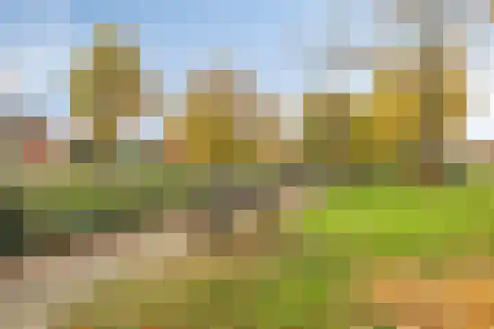 Couperuslaan 71 Harderwijk thumbnail 43