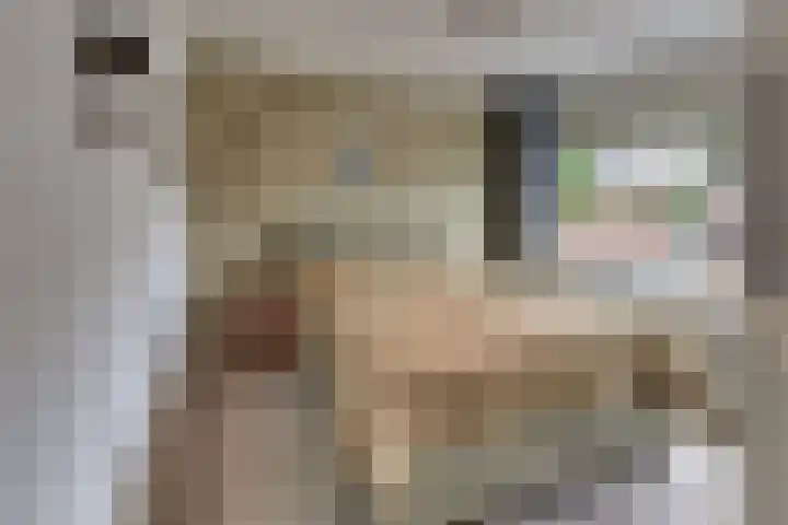 Couperuslaan 77 Harderwijk thumbnail 32