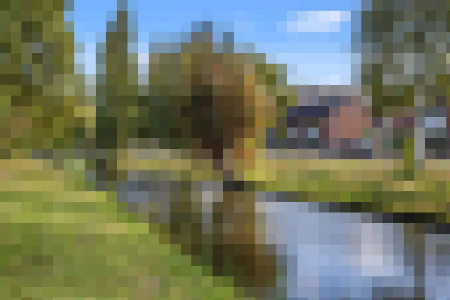 Couperuslaan 77 Harderwijk thumbnail 36