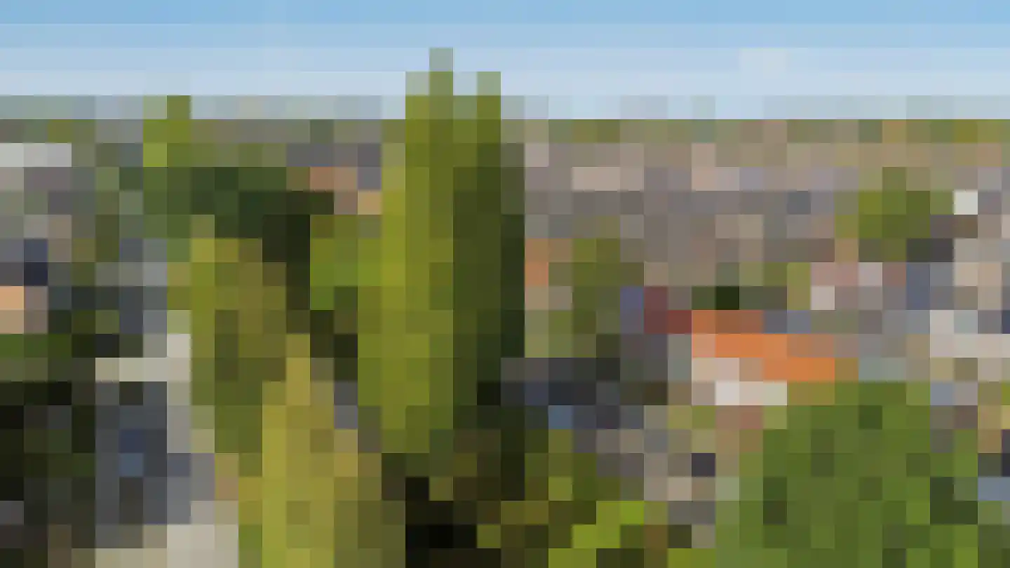 Couperuslaan 77 Harderwijk thumbnail 40