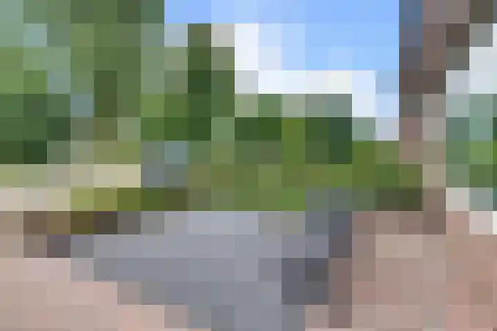 Couperuslaan 77 Harderwijk thumbnail 51