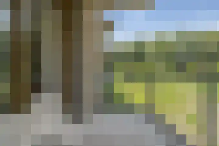 Couperuslaan 78 Etten-Leur thumbnail 15