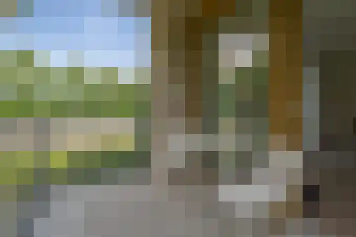 Couperuslaan 78 Etten-Leur thumbnail 16